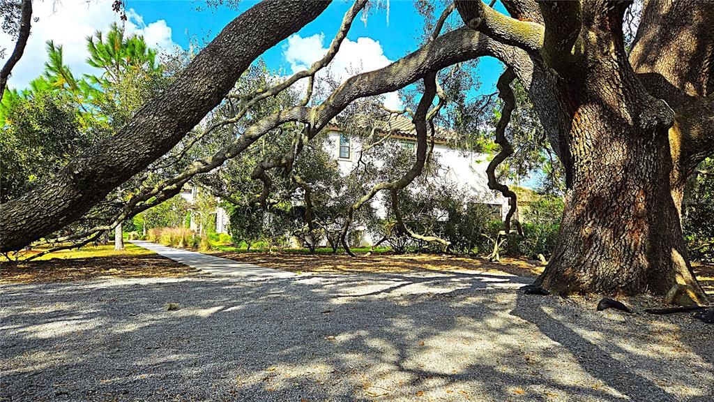 View from park trail to front corner of home.