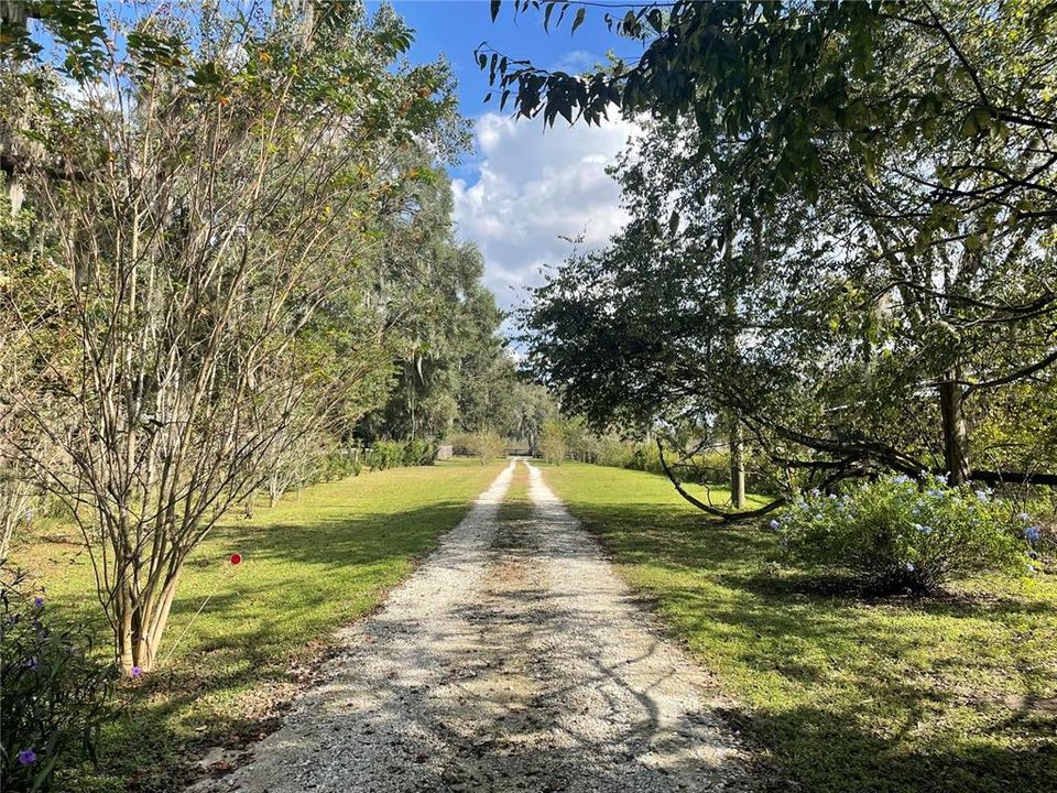 Driveway from the road