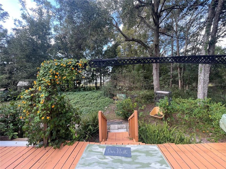 View from deck of the Natural Landscape in the back yard.