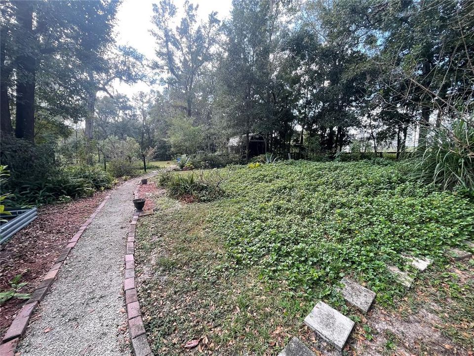 Pathway in the garden