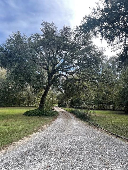 Gravel Driveway, very private setting