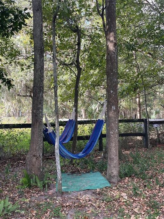 Hammock anyone?