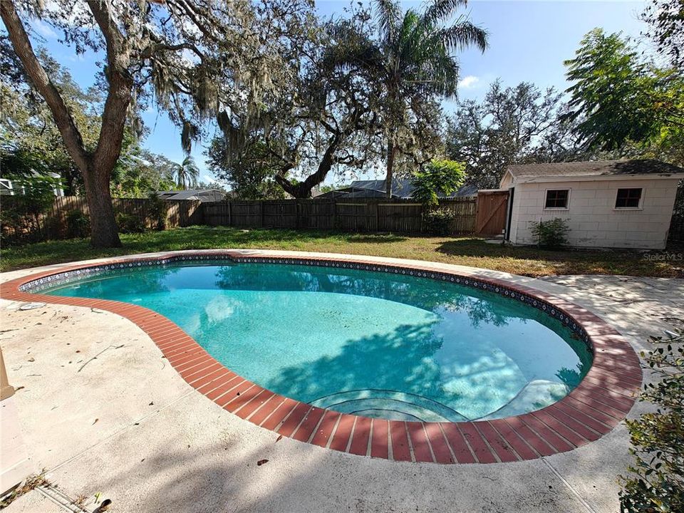 Pool & Shed