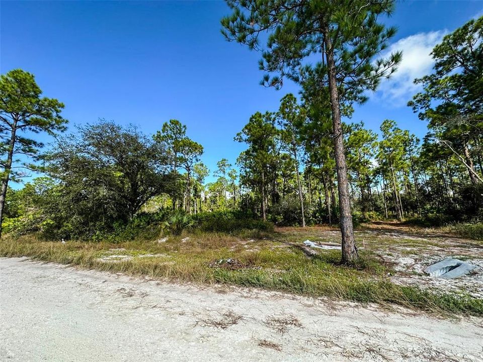 VIEW - UNPAVED ROAD