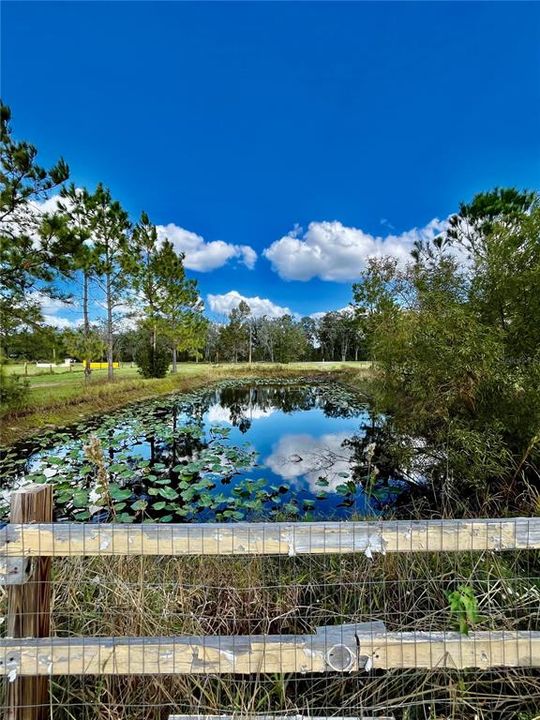 Pond in front of property