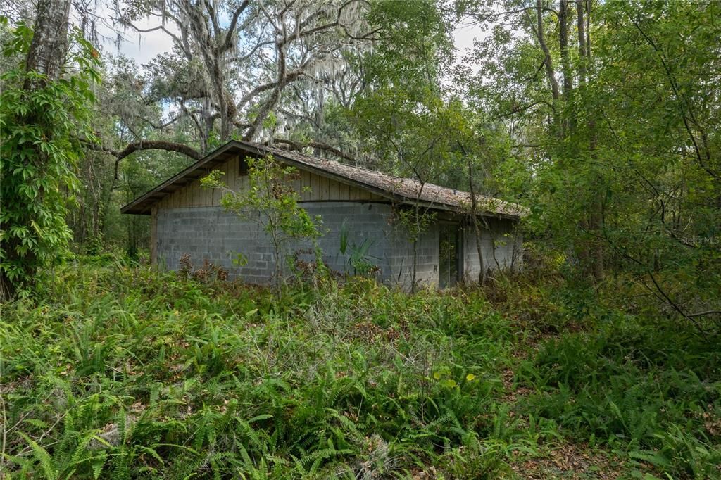 vacant abandoned home on 3 acre lot adjacent to Endsley Rd with road access.