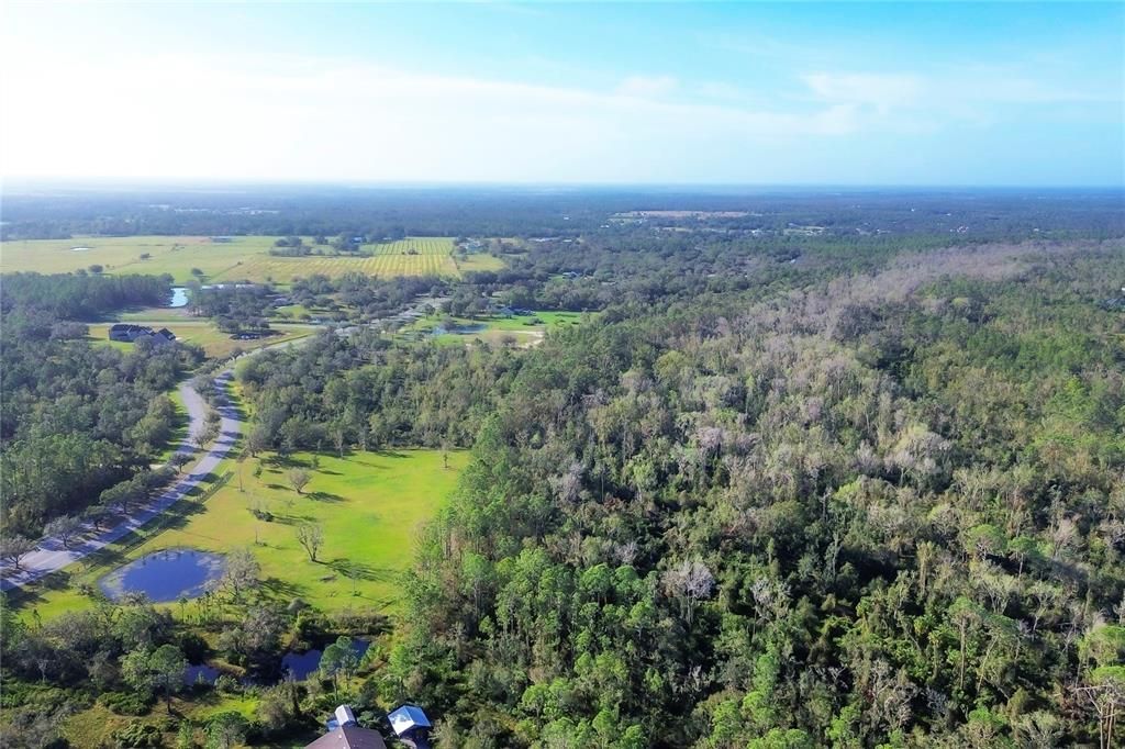 Aerial from the side of the property showing the dense woods towards the back of the lot.