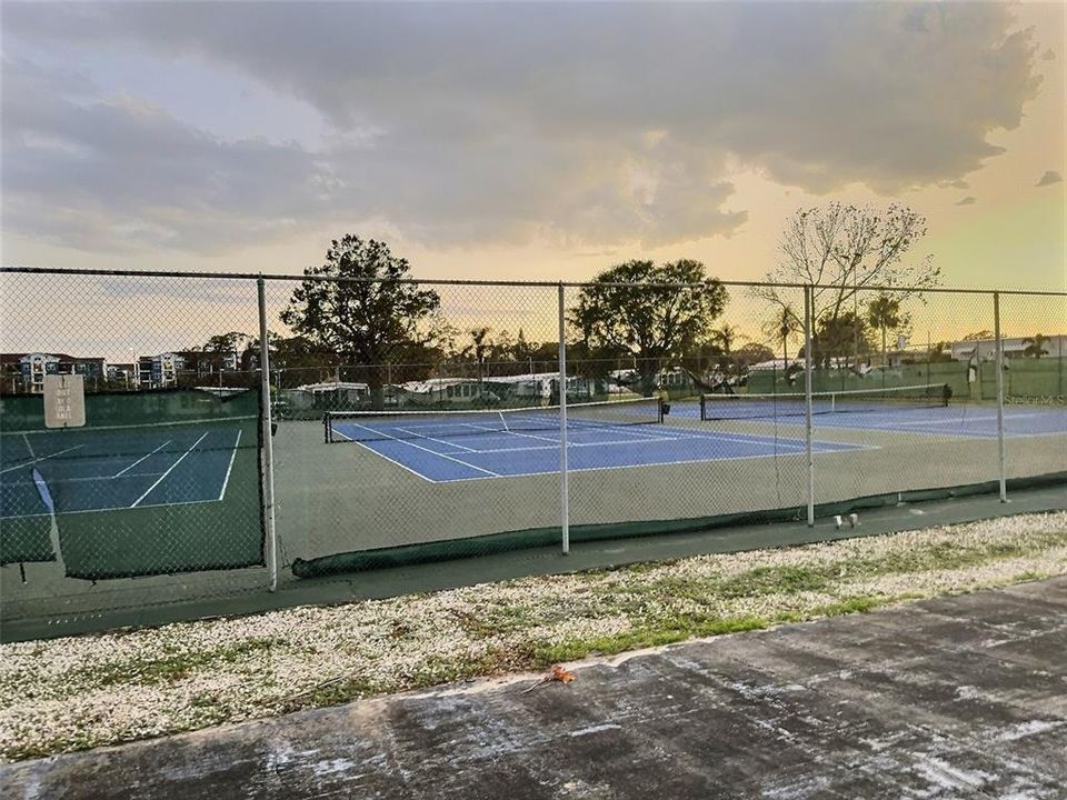 Lighted Tennis/Pikel ball