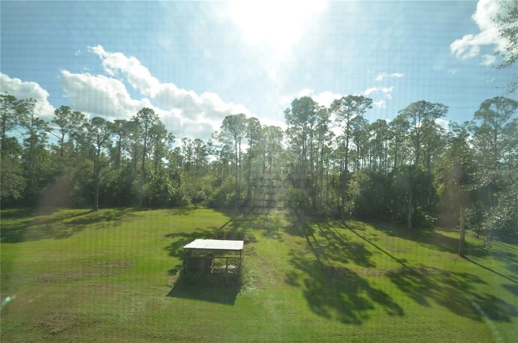 Back Yard with kennel