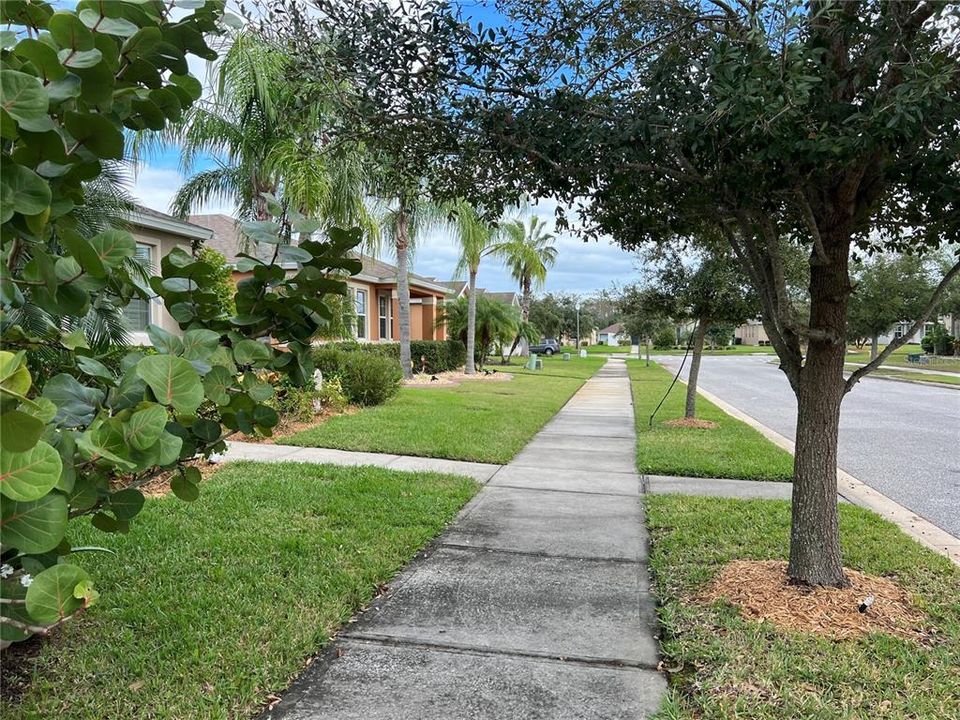 For Sale: $411,000 (4 beds, 2 baths, 1662 Square Feet)