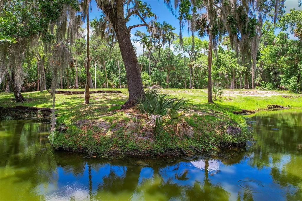 PROPERTY IN SUMMER- LUSH AND GREEN