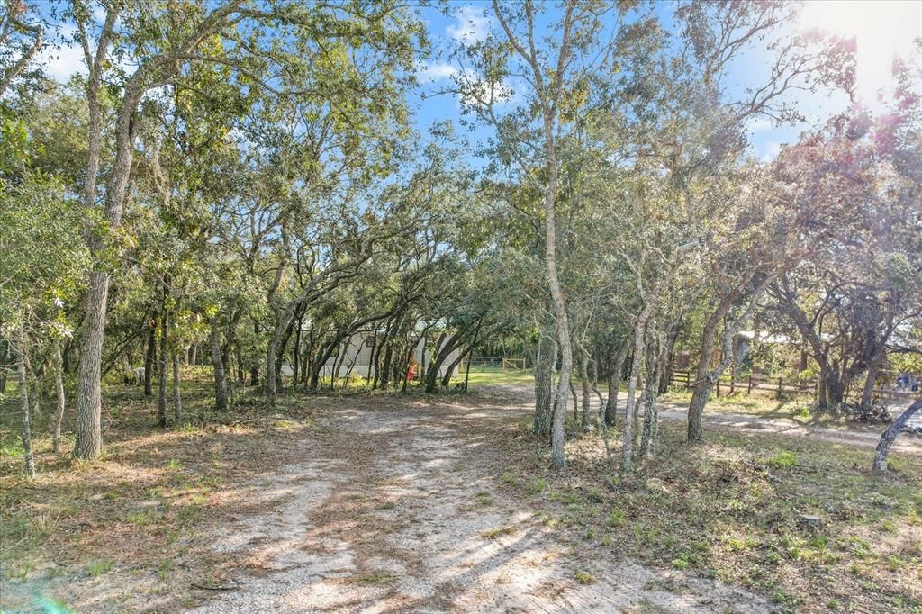 Rounded Private Driveway