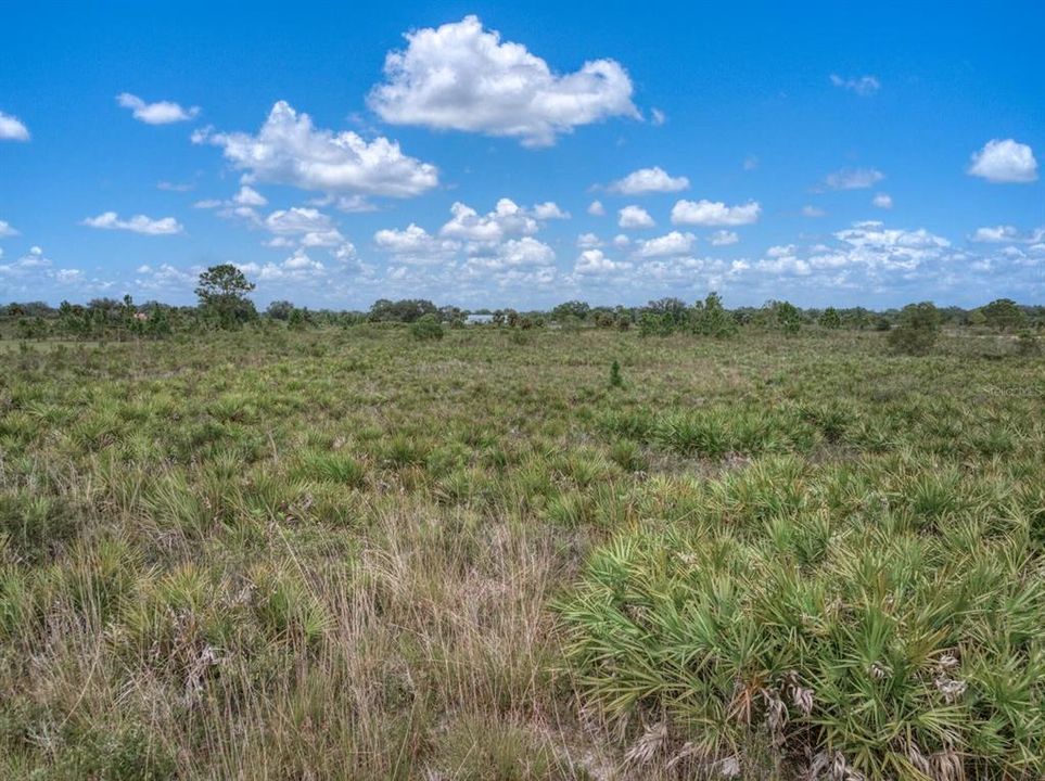 На продажу: $35,000 (1.25 acres)