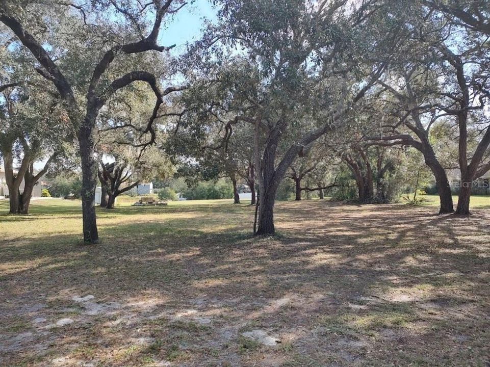 For Sale: $95,000 (2.36 acres)