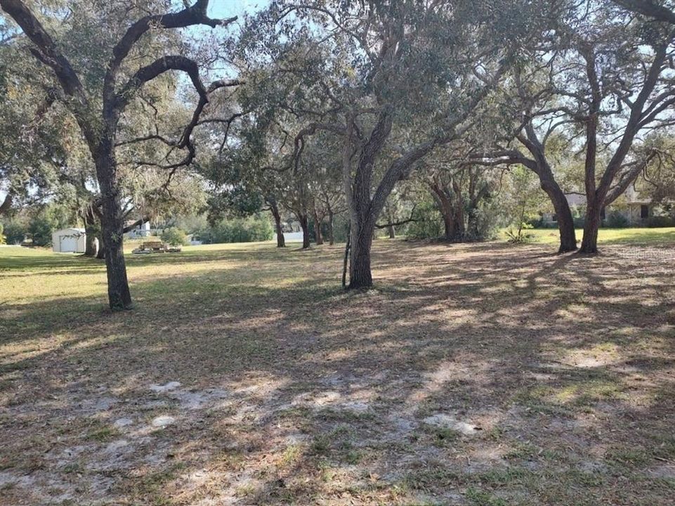 For Sale: $95,000 (2.36 acres)