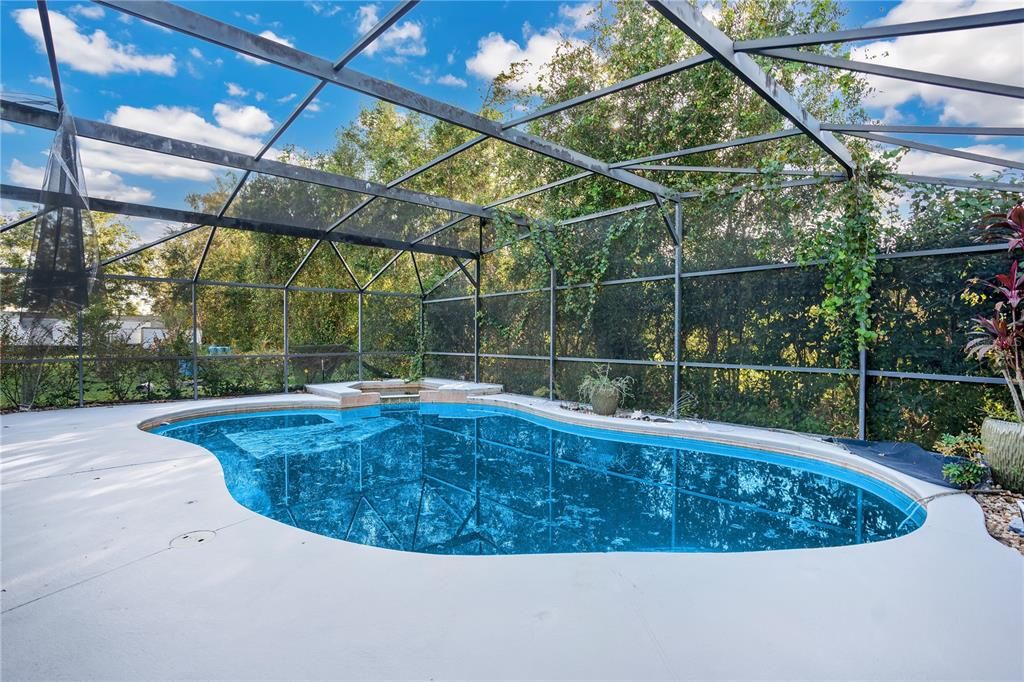 Imagine a refreshing dip in the pool on a hot summer day.  (Image has been virtually enhanced)