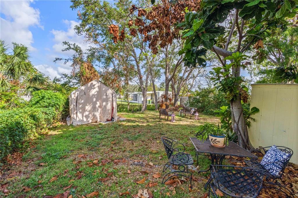 Backyard storage and sitting area