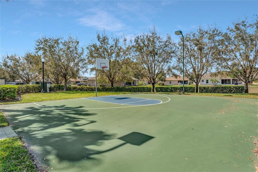 Basketball Court