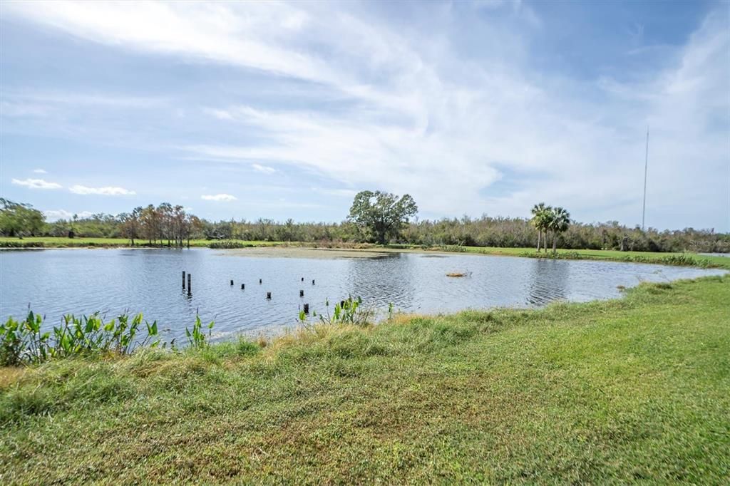 En Venta: $779,000 (5.00 acres)