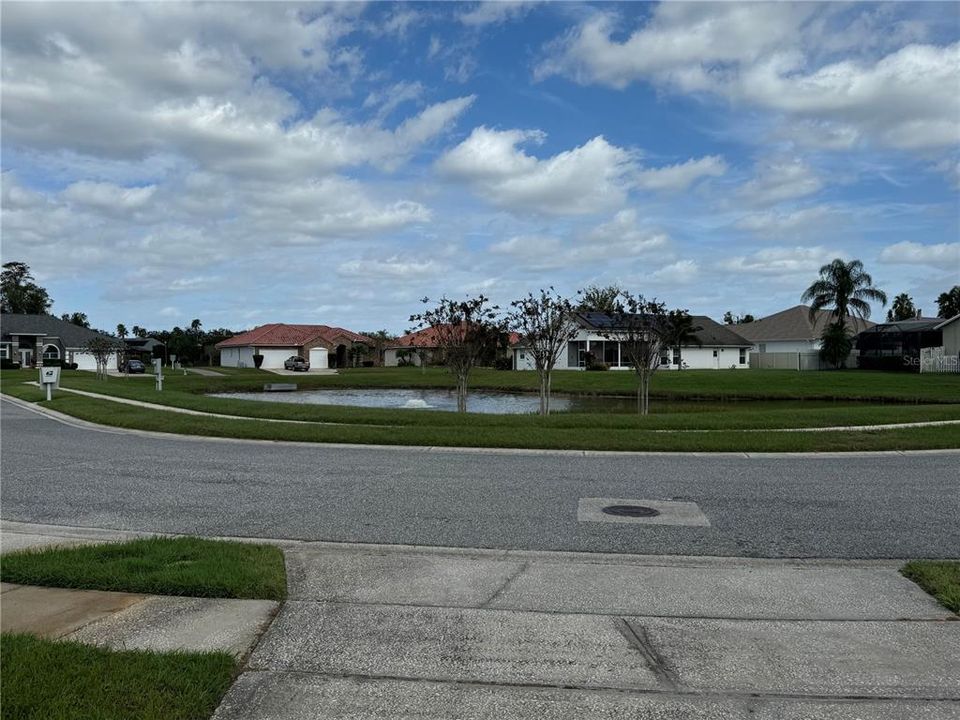 Pond View from Front yard