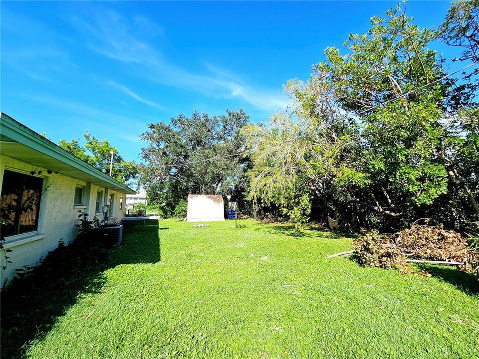 Fenced back yard