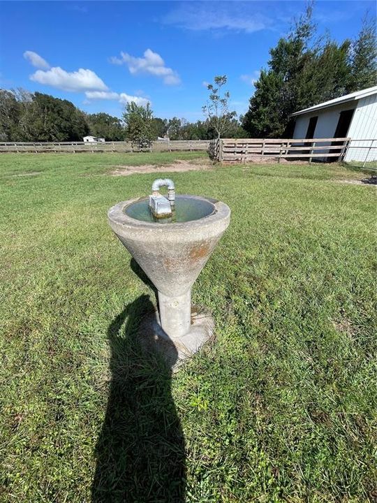 Auto waterer in Pasture