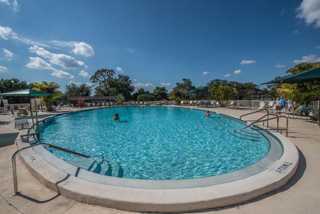 Outdoor pool at the North Club