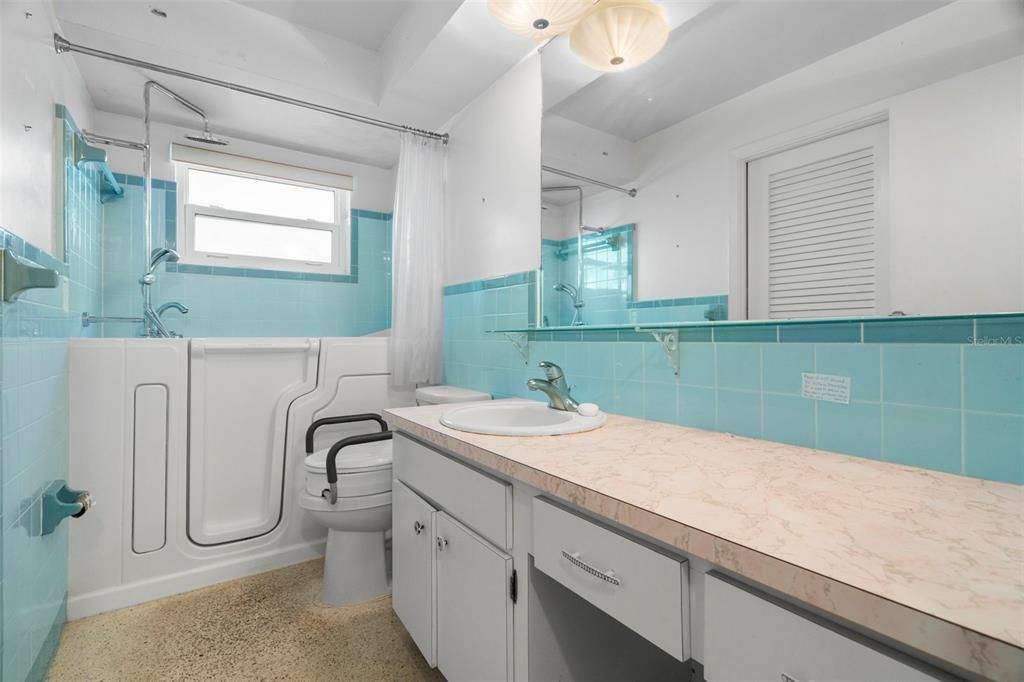 Guest Bathroom with walk-in tub