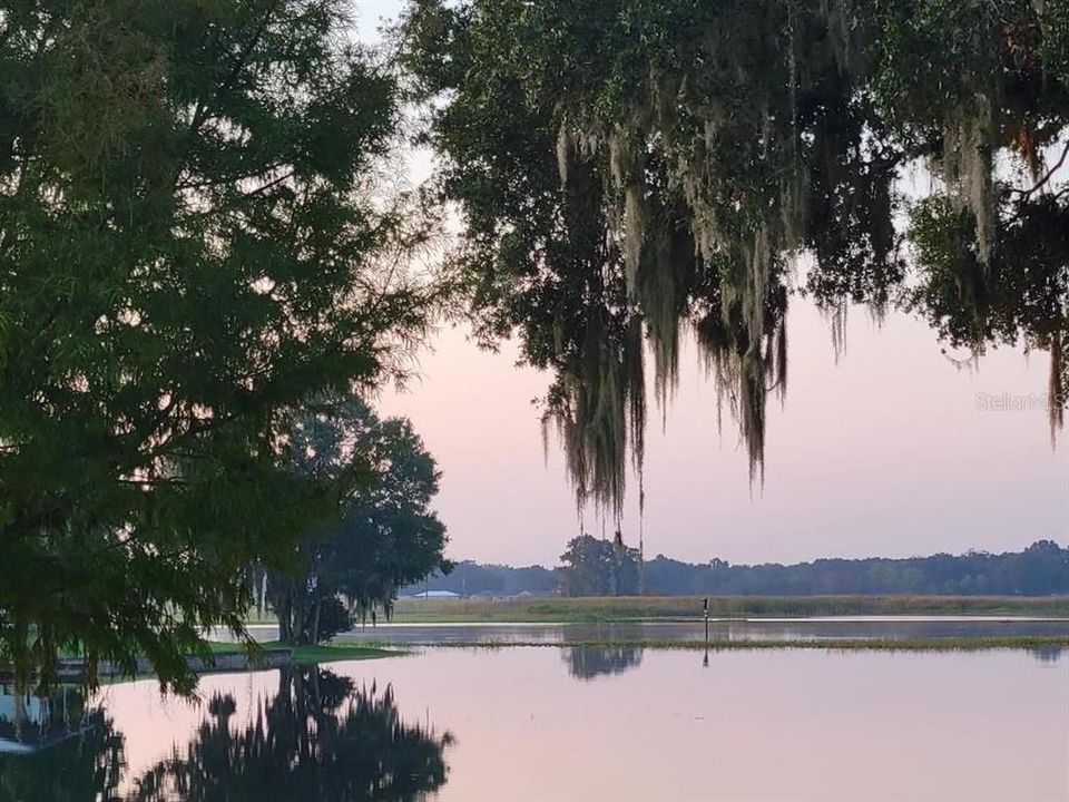 Lake Henderson back yard view