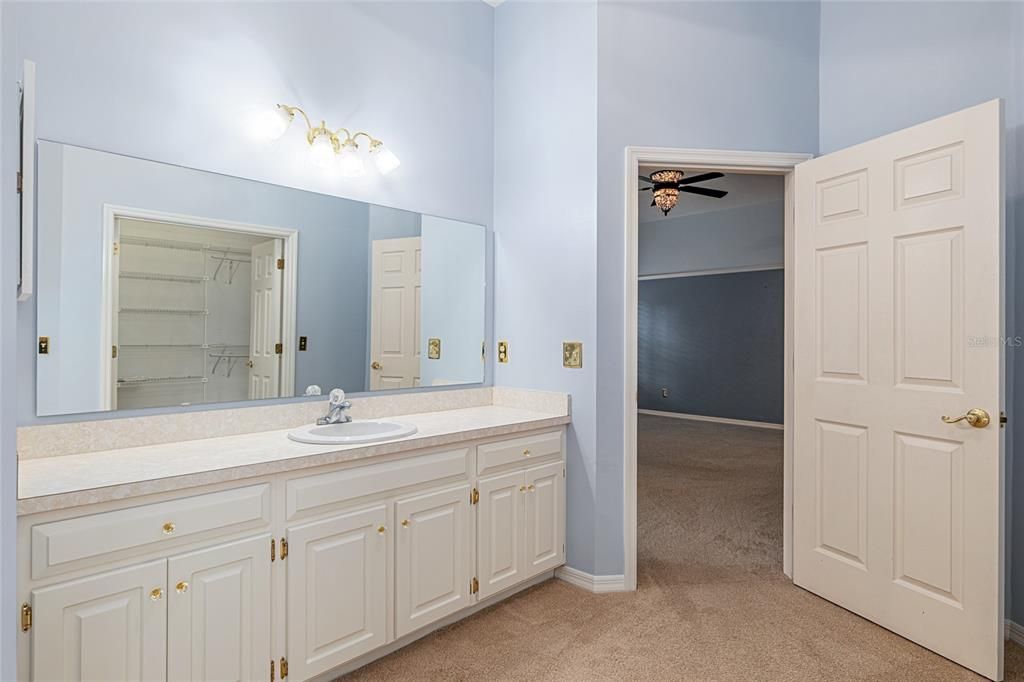 ONE OF TWO EXPANSIVE VANITY AREAS IN OWNER'S BATH