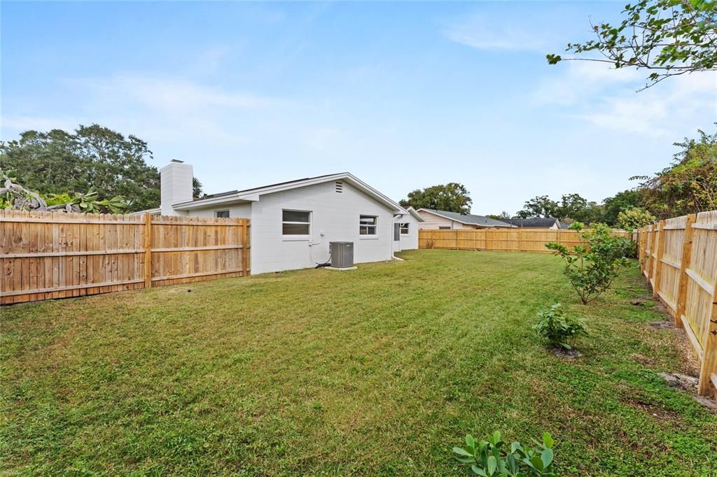 Newly landscaped backyard