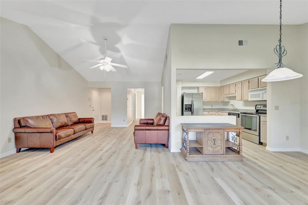 Living Room-Dining Room-Kitchen