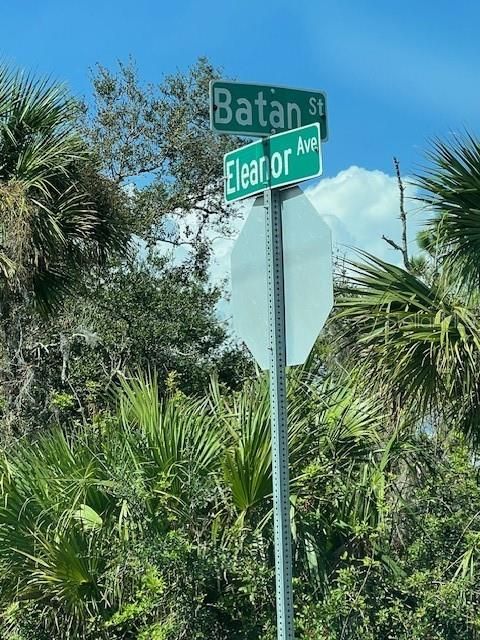 Crossing Street Signs