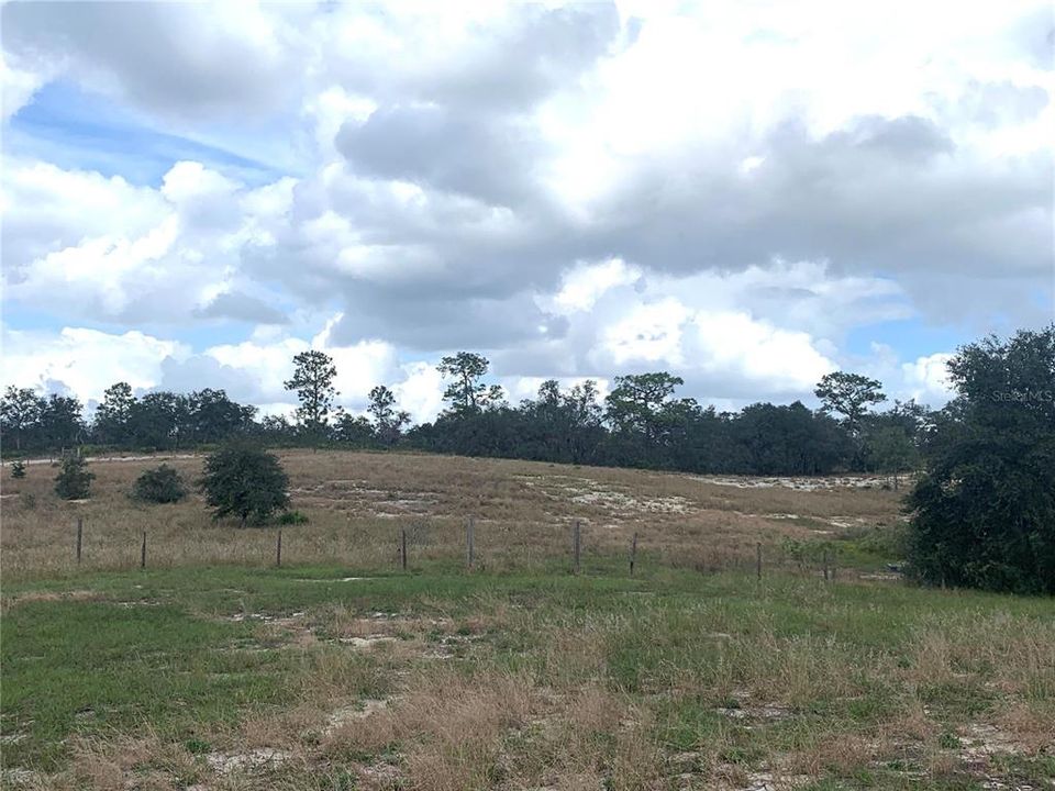 View of Preserve at North Property Line