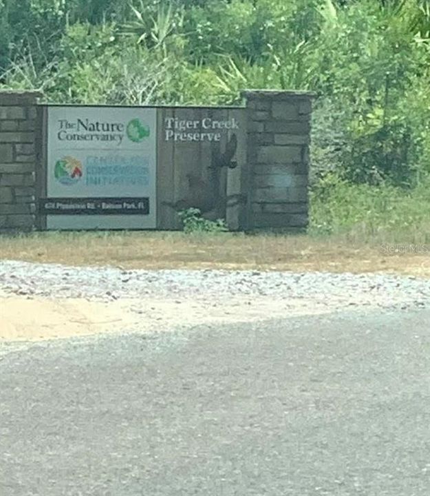 Tiger Creek Preserve Entrance