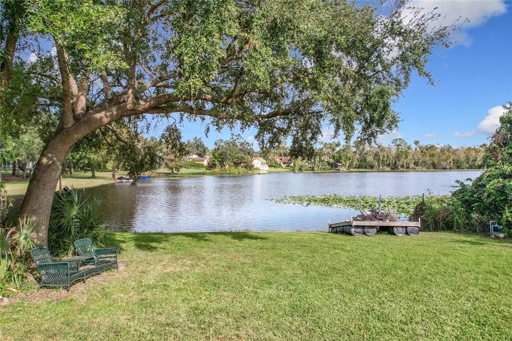 Relax under the shade of the beautiful oak.