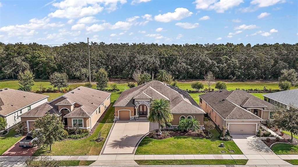 Birds-eye view 8420 Bridgeport Bay Circle