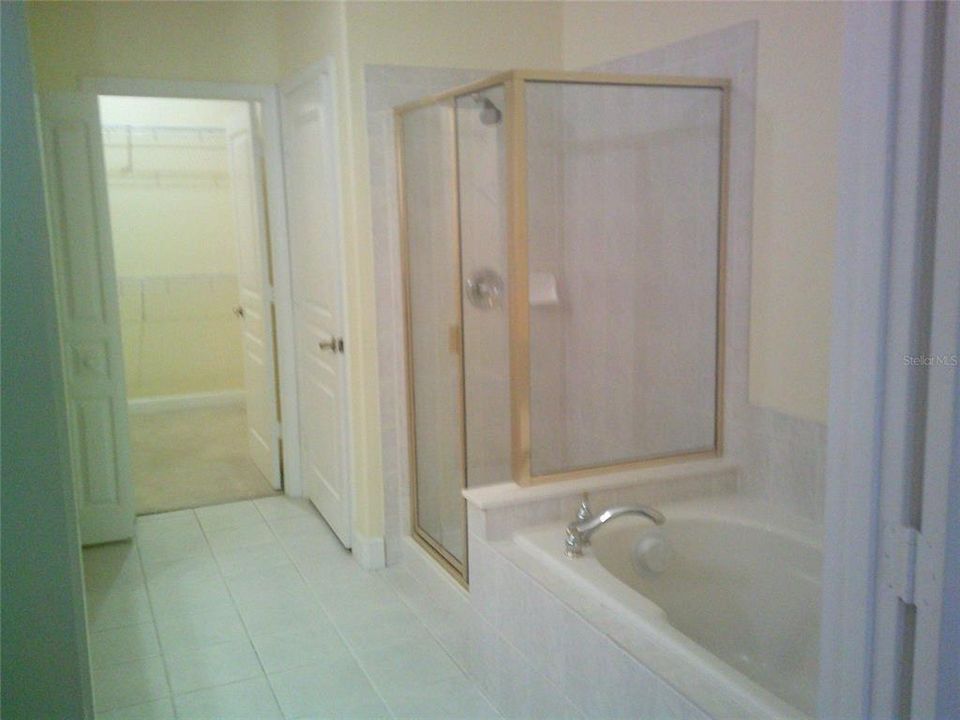 Primary Bathroom separate Shower and Tub