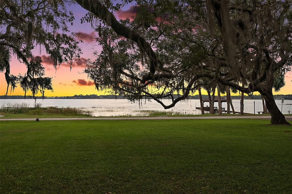 Sunset through the Live Oaks