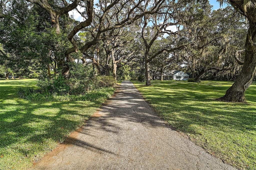 Beautiful lawn & private drive