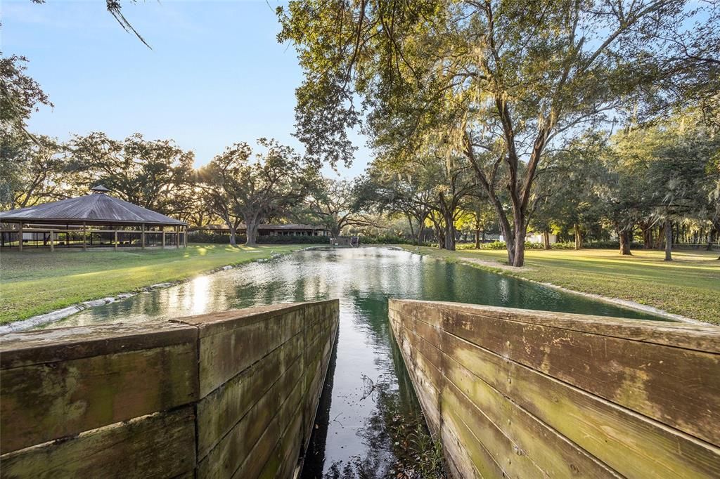 Equine Swimming Pool