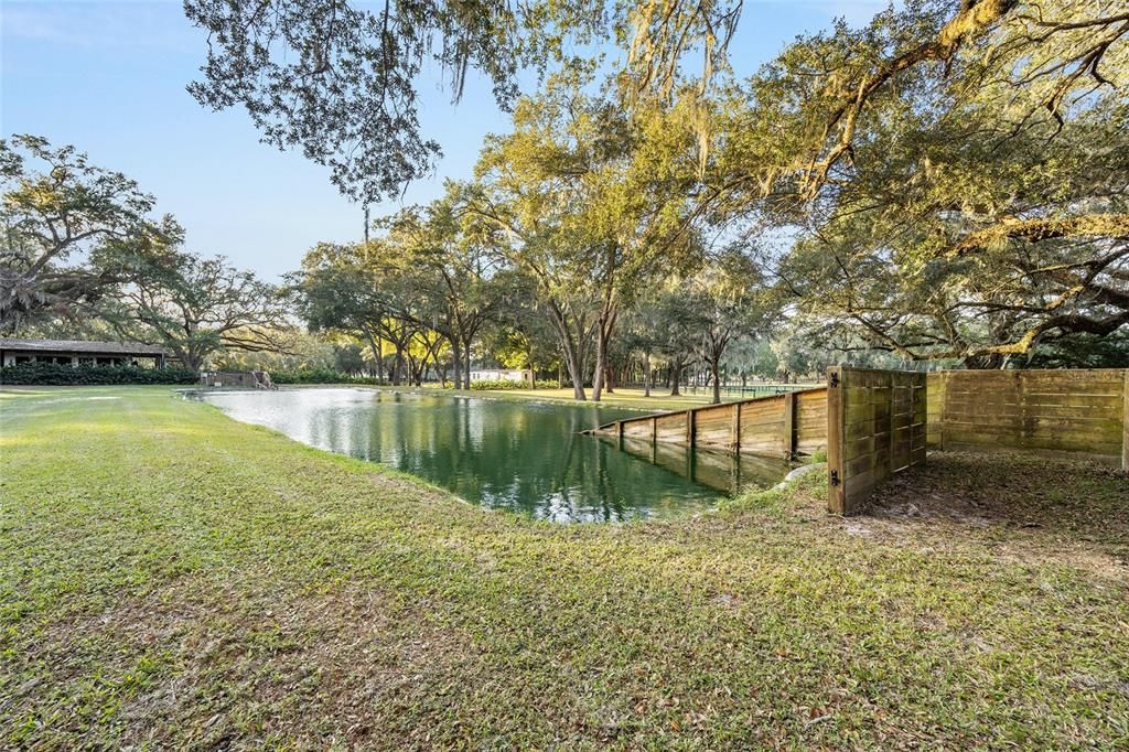 Equine Swimming Pool