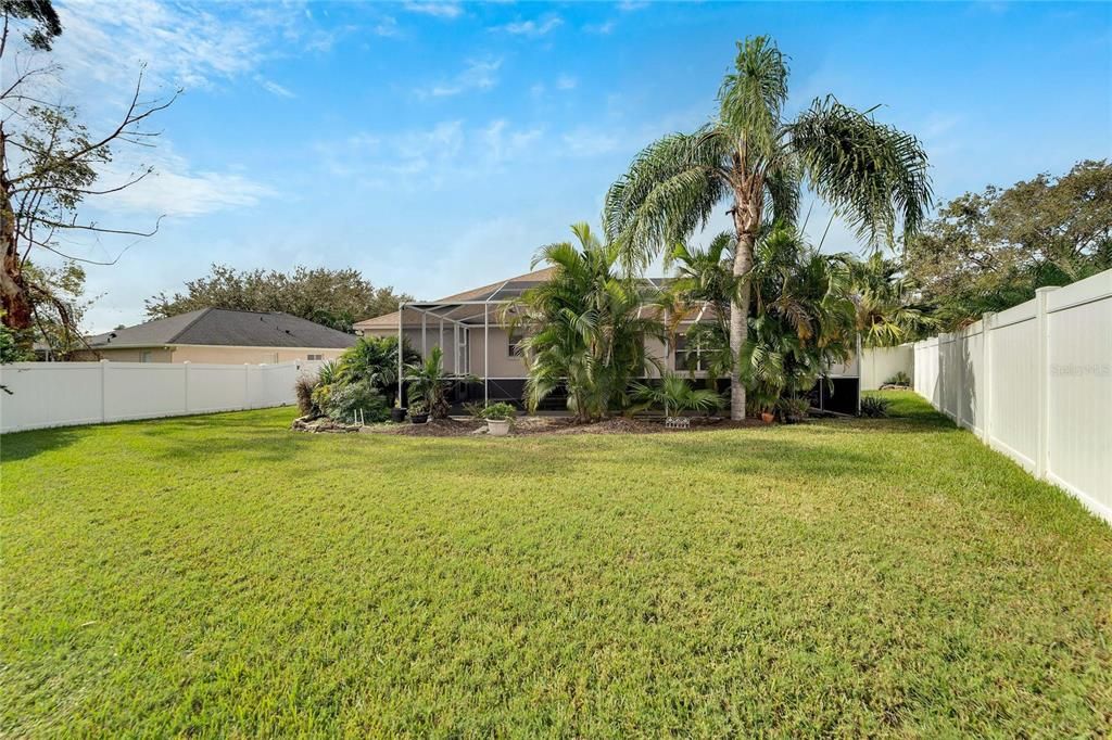 TB8320775 - Backyard #2 Palms provide extra privacy