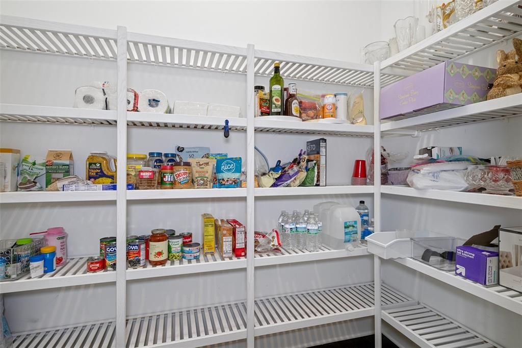 Huge Walk in Kitchen Pantry