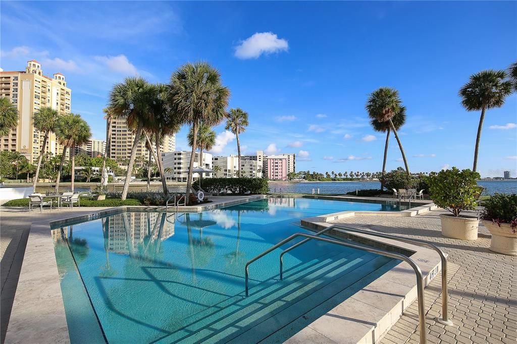 Community pool looking over the Sarasota Bay