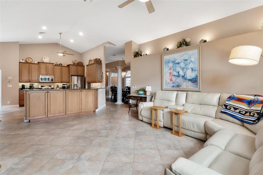 Family Room and Kitchen Area