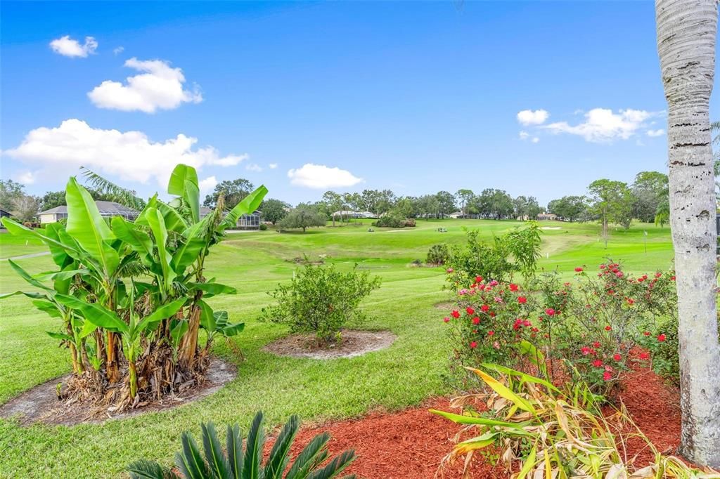 Backyard with Golf Course Views