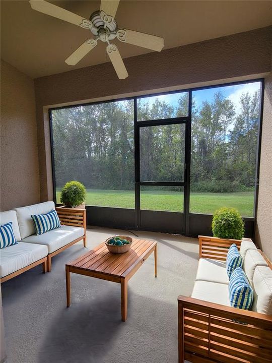 Virtually Staged covered screened in patio