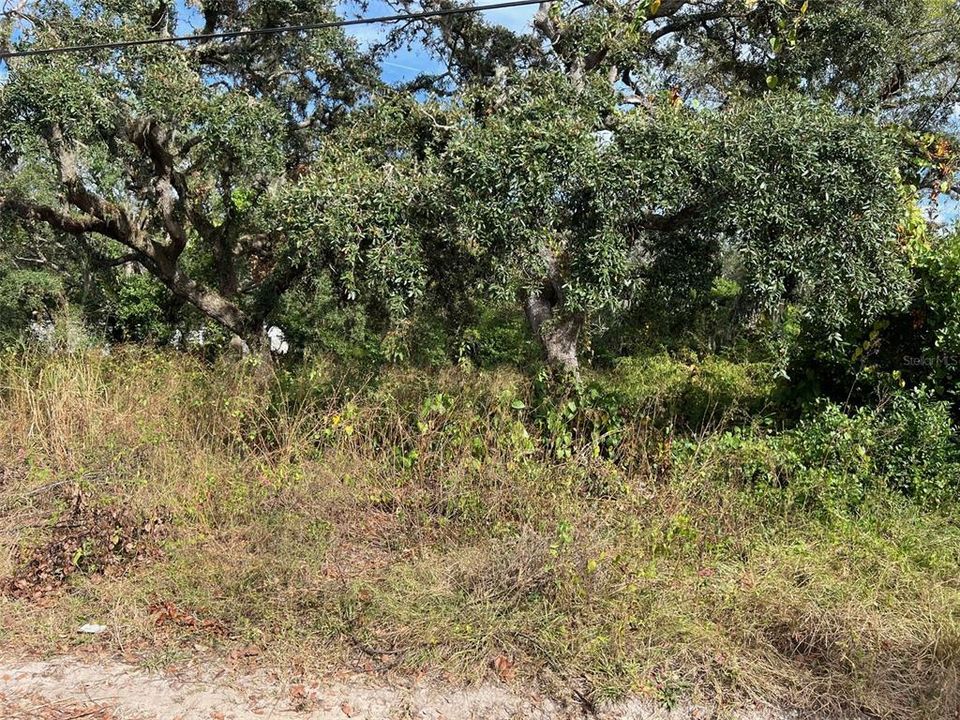 For Sale: $39,900 (0.18 acres)