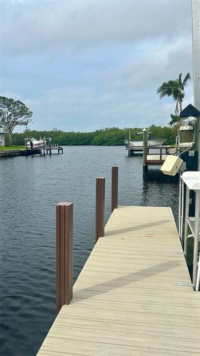 View of the bayou